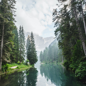 trees mountains lake