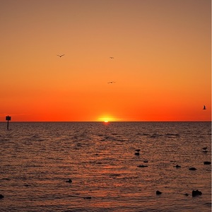 Red Sky Night Delight